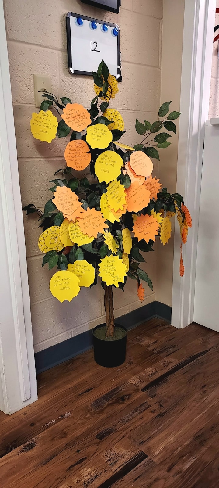 Creekside Montessori Kindness Tree which encourages acts of kindness and community spirit.