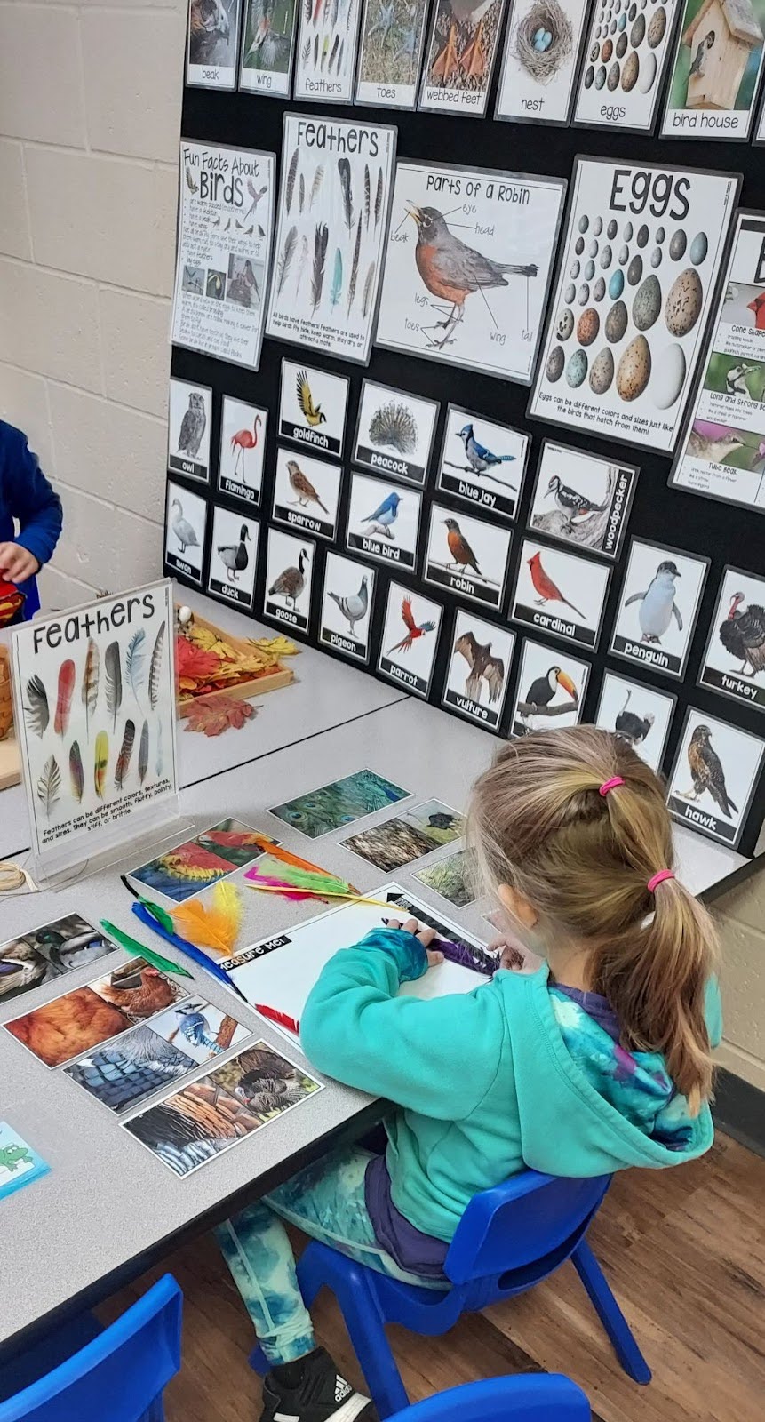 Montessori preschool student learning about science