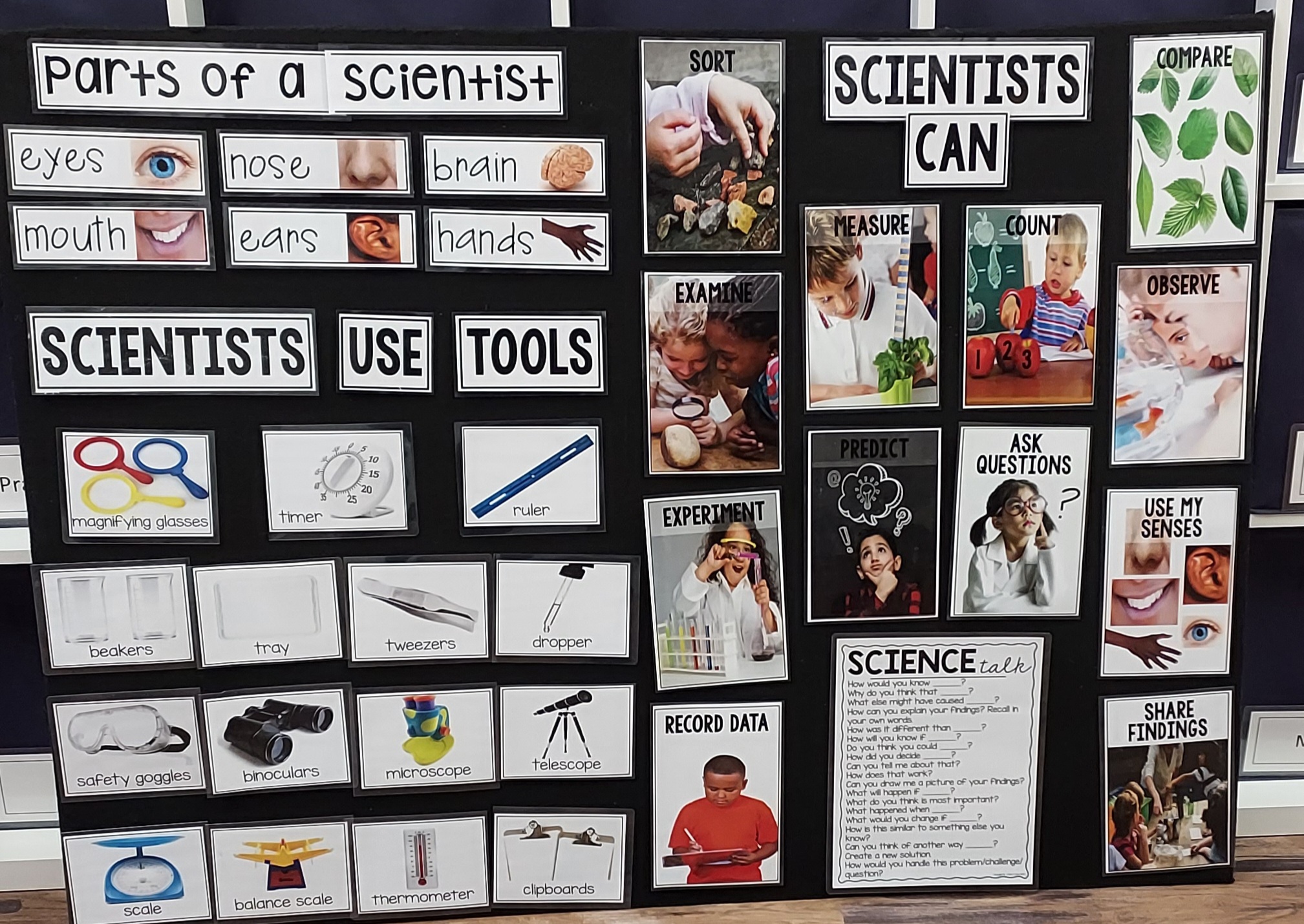 Parts of Science and what Scientist can do instruction board